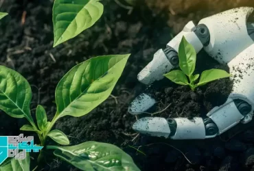Protect Plants Against Climate Change with Potassium Silicate