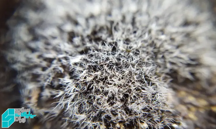 انتخاب گرید و فرمول مناسب