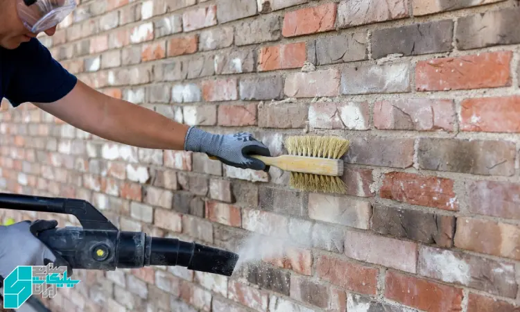 جمع‌آوری شورهٔ تازه با برس نرم و مکش صنعتی