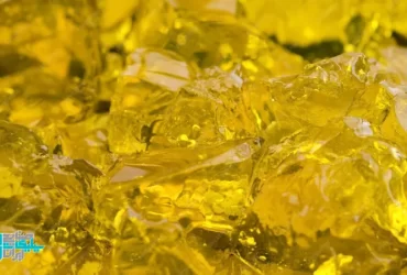 اثر UV بر زردشدگی سیلیکات پتاسیم شفاف