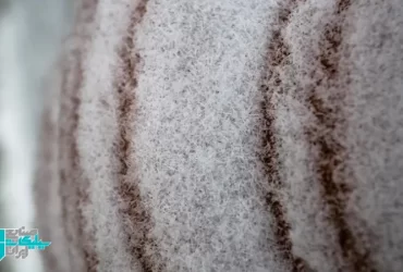 0تا 100 جلوگیری از شوره زدگی در پوشش های سیلیکاتی